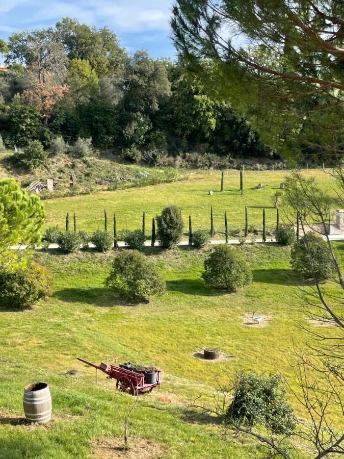 Resort Panoramico Canale Suite - Private Parking - Natural Park Sinalunga Buitenkant foto
